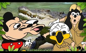 Mokey's show - 427 - Crocodile